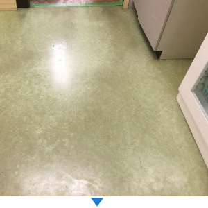 【水戸市】スキルズ　清掃と管理のプロ　床の清掃前の写真
